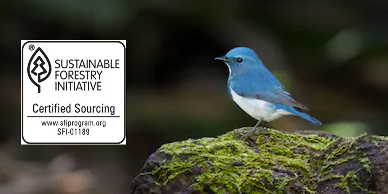 sustainable-forestry800x400 Anthony & Sons Bakery New Jersey Sustainable 5